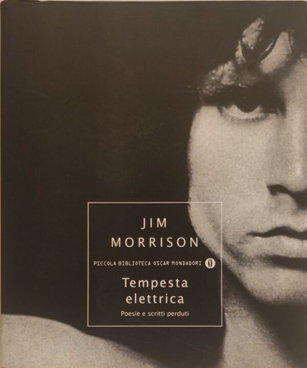 Jim Morrison - Tempesta elettrica: poesie e scritti perduti